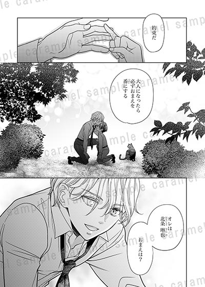 偽恋オメガ～運命のアルファに片想い