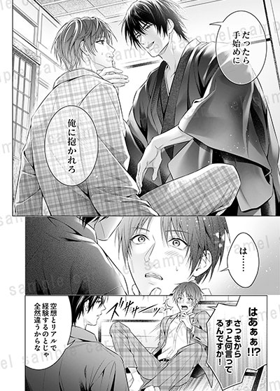 偏愛小説家のポルノロマンス