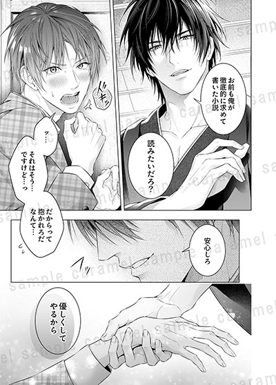 偏愛小説家のポルノロマンス